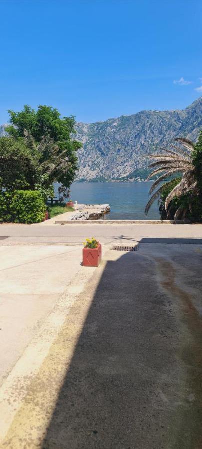 Apartman Katarina Kotor Zewnętrze zdjęcie